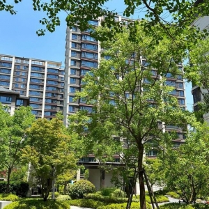 �����A�ԣ���2026�꣬���r�����ǬF�ڵ��ĵ��屶����Ϣ��ļٵģ�